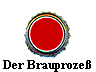  Der Brauproze� 