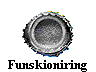  Funskioniring 